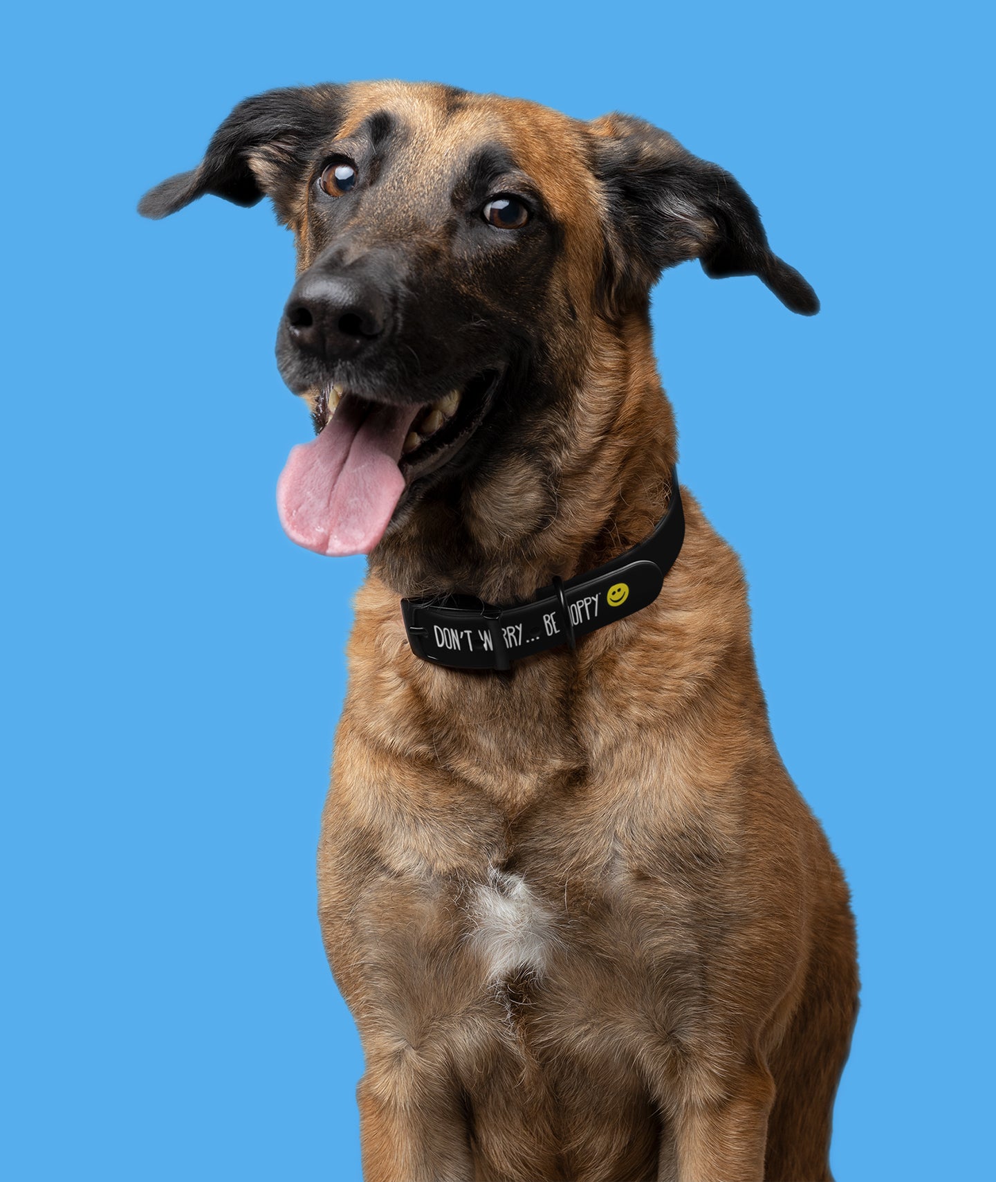 Dog Collar