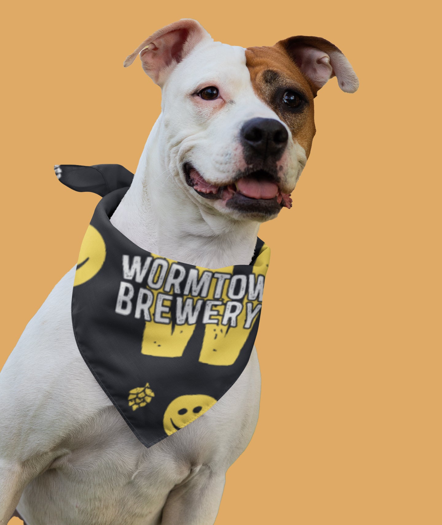 Dog Bandana